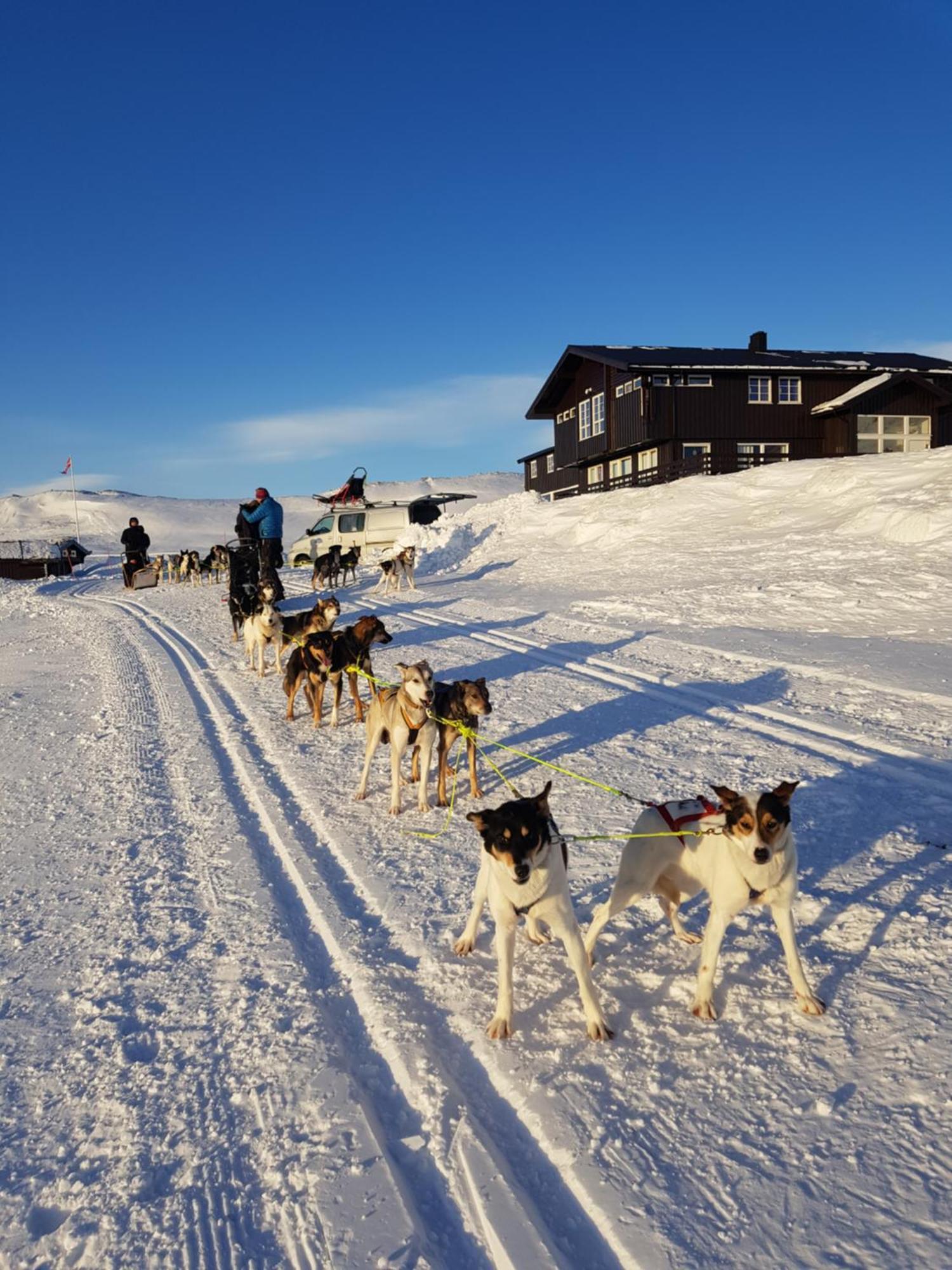 Fjellstue Hotel 2*
