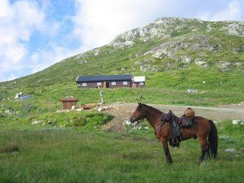 Fjellstue Hotel Bergsjostolen